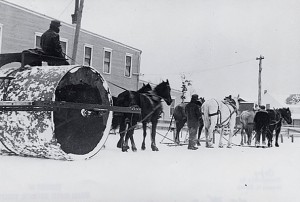 horse and rolling thing